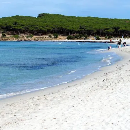 Endless Summer Olbia